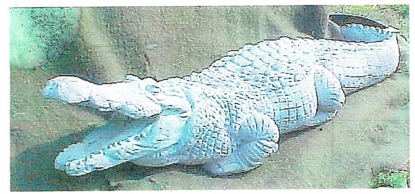 xlist alligator